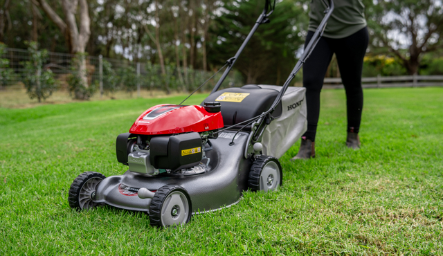 Honda Petrol Petrol Lawn Mowers